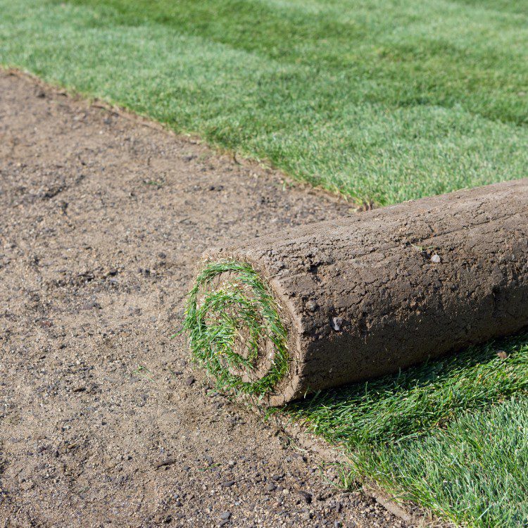 Landscaping in Spring, TX Landscaping in Spring, TX