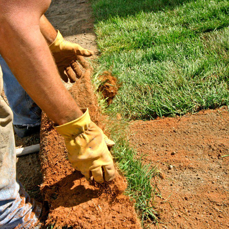 Landscaping in Spring, TX
