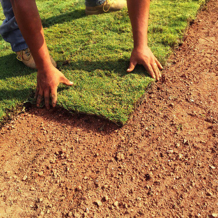 Landscaping in Spring, TX Landscaping in Spring, TX